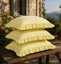 Lemon Popsicle Pillow Cover Set (Mix & Match) – 100% Cotton